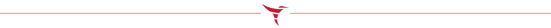 telecomp-hummingbird-div hummingbird div